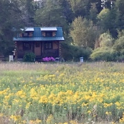 Black Lantern Resort Rustic Meadow Cabin