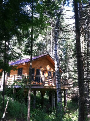 Forest Private Romantic Rental Cabin